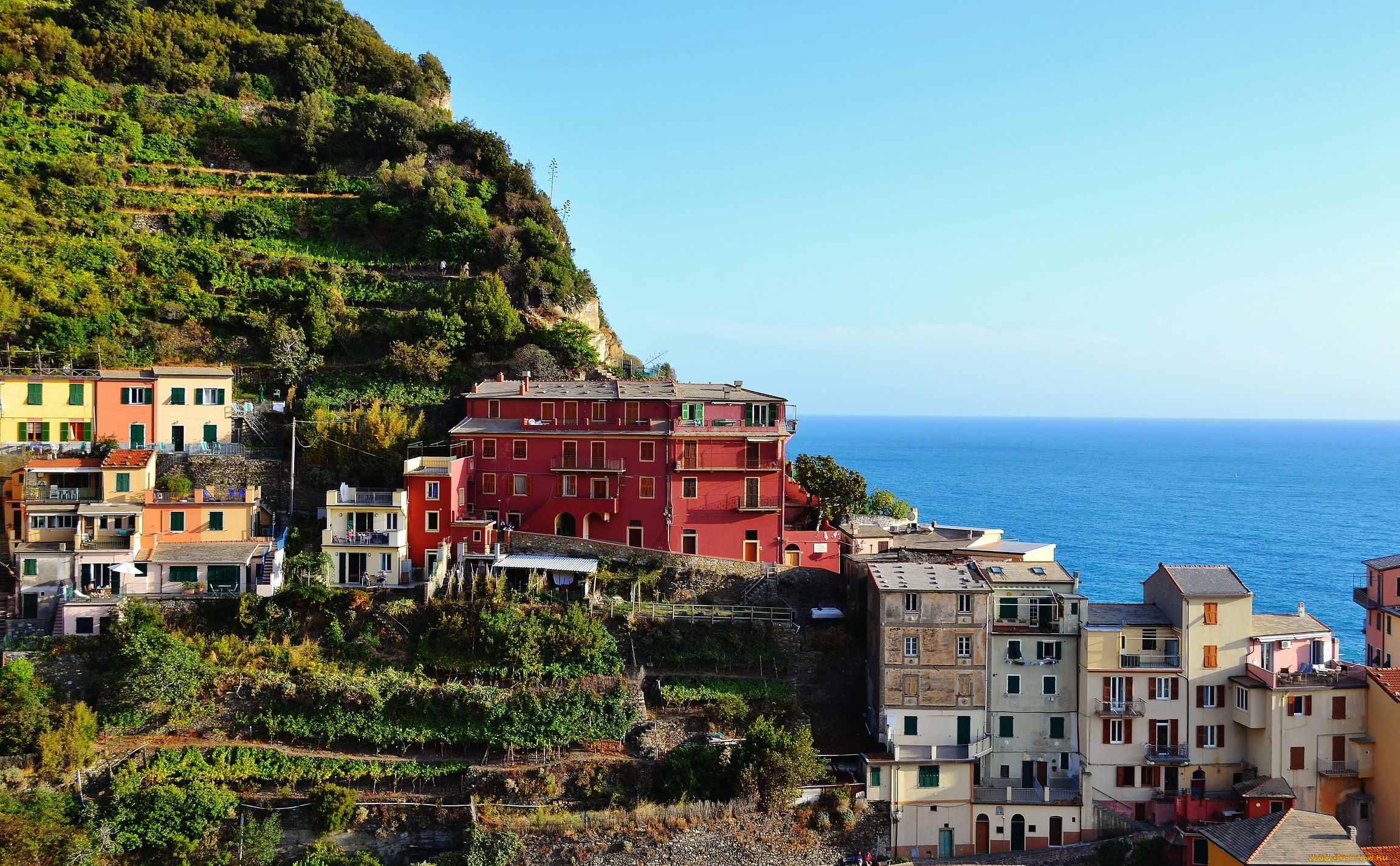 manarola, , , , , , , , 